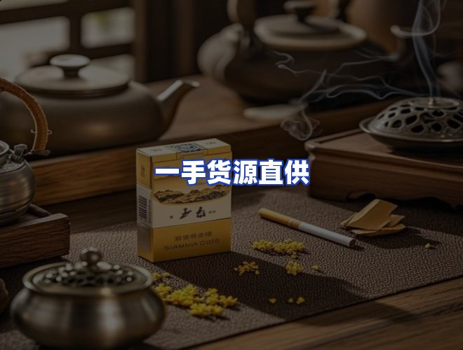 专业团队